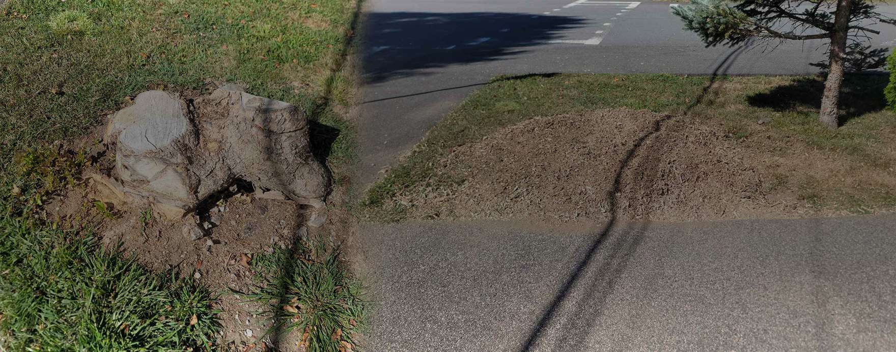 background fence image