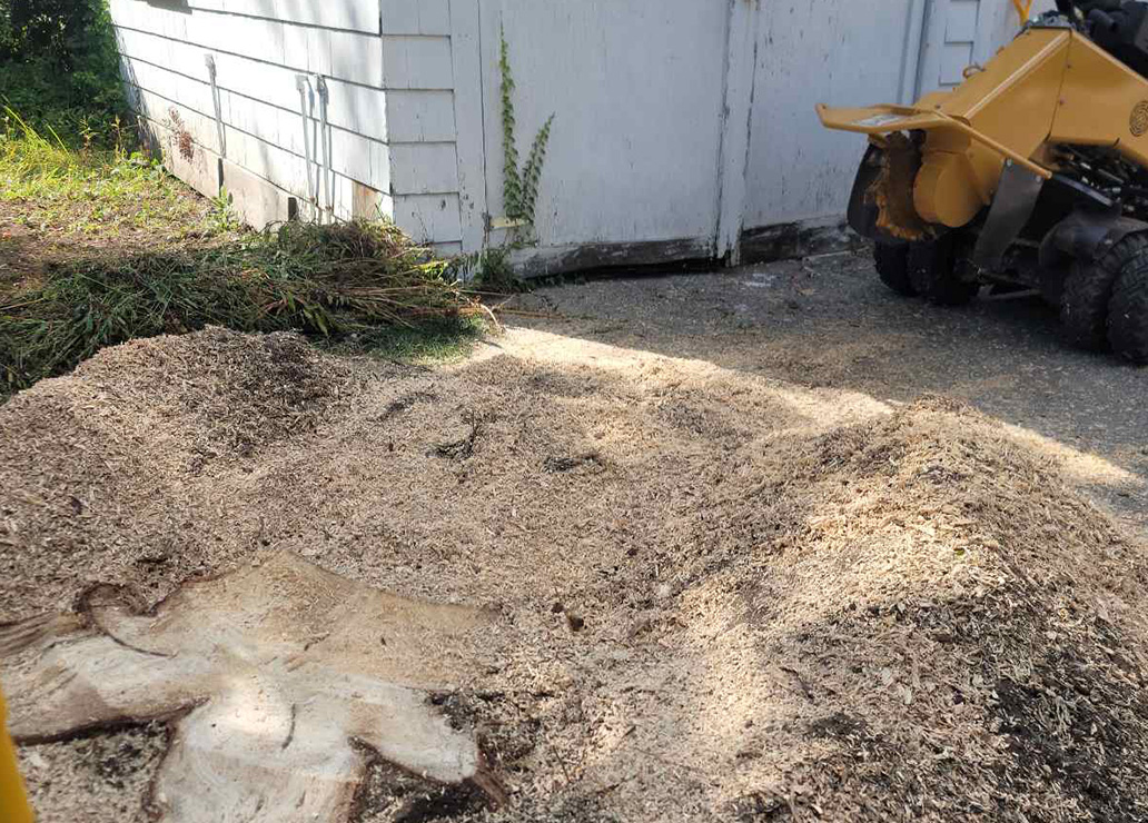 Fensu Inc. - Stump Grinding Services