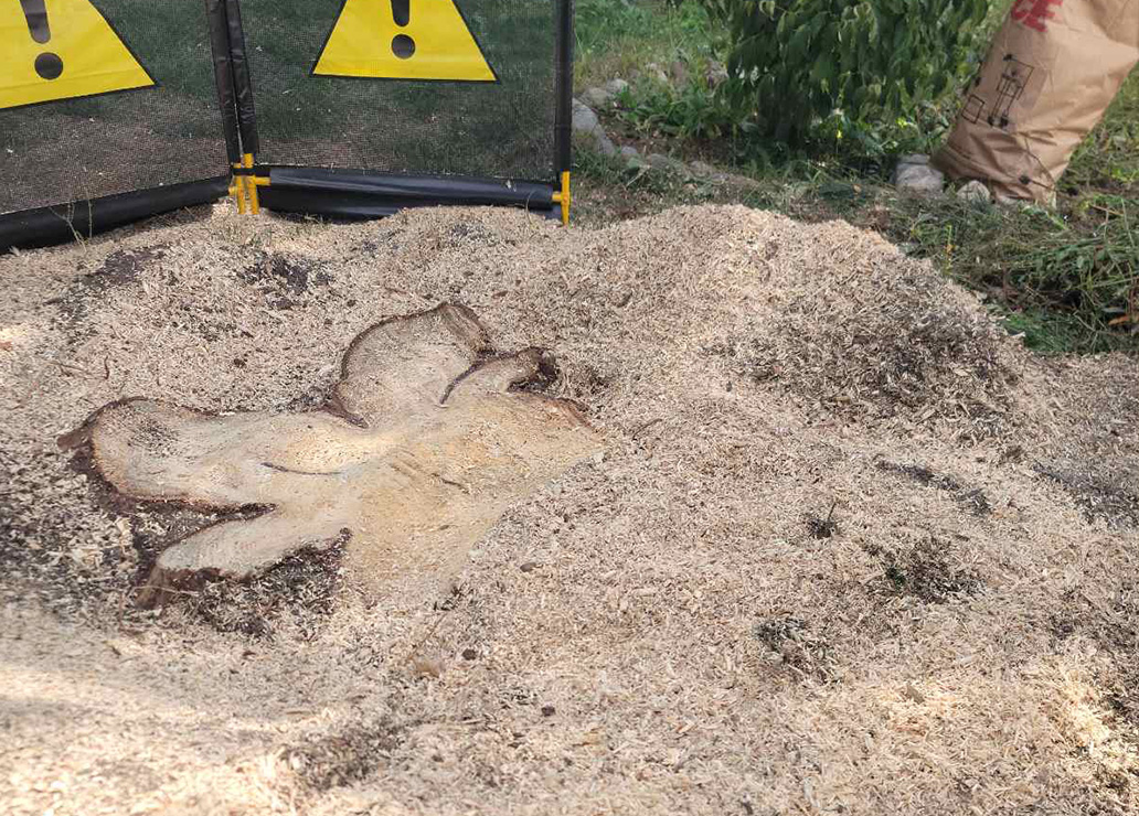 Fensu Inc. - Stump Grinding Services